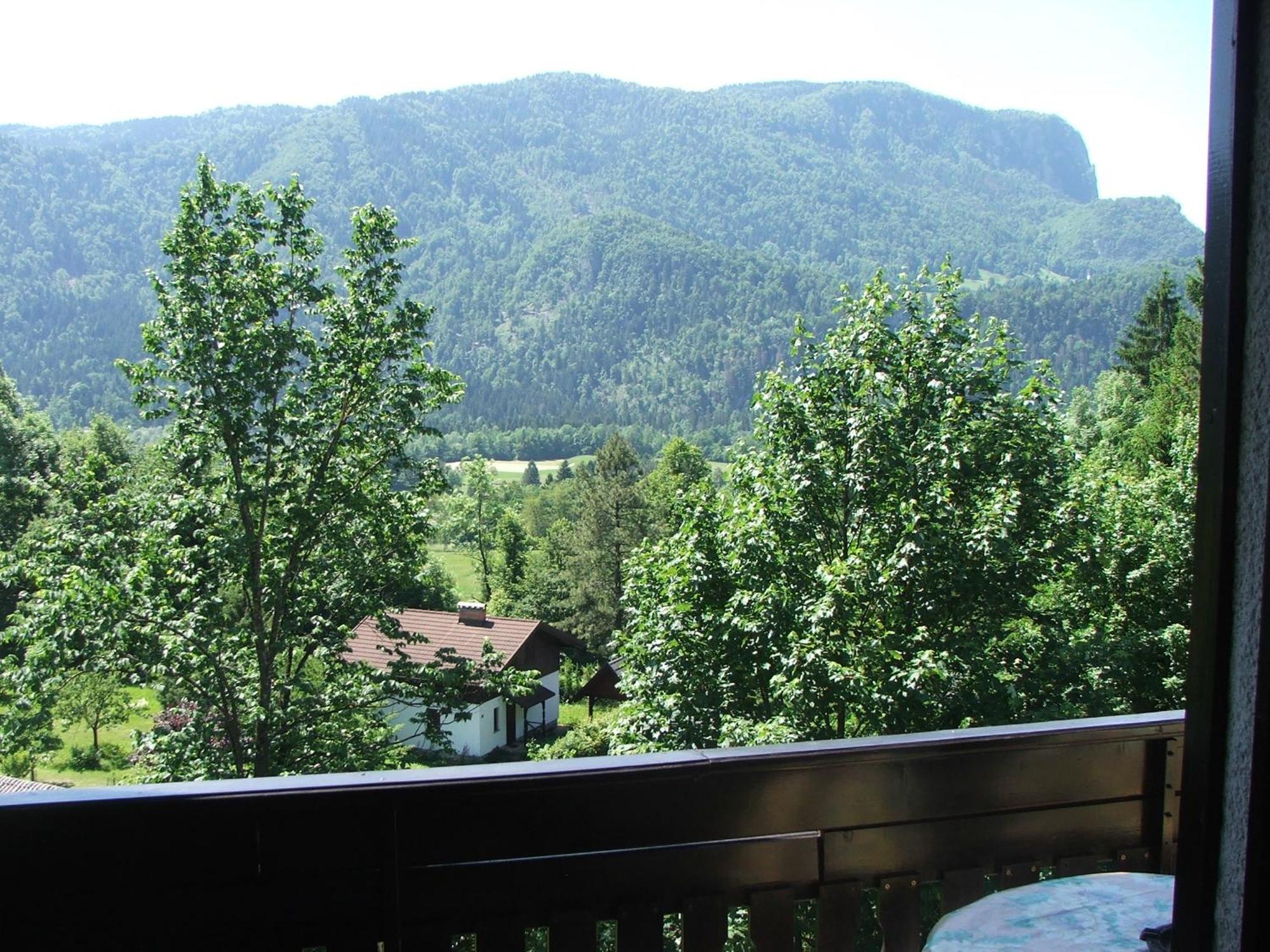 Apartmán Tourist House Capricorn Bled Pokoj fotografie