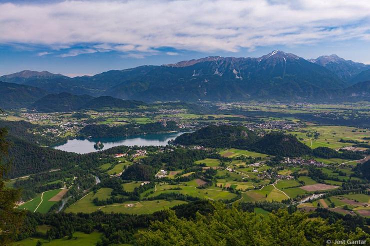 Apartmán Tourist House Capricorn Bled Exteriér fotografie